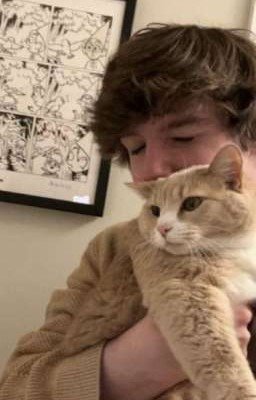 ты мой лучик солнца❤️‍🩹