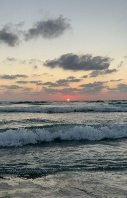 «Письмо к Ветру»