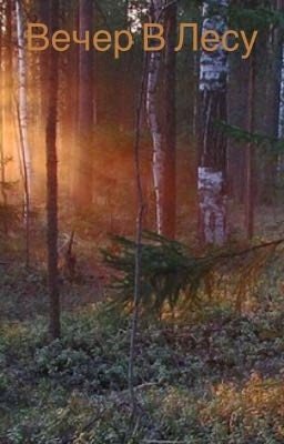 Вечер в лесу