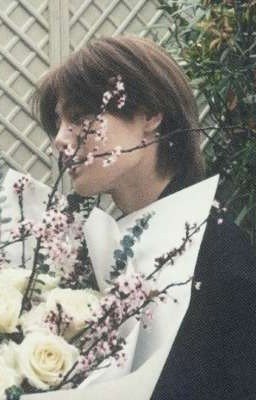 Легенда о майском шиповнике