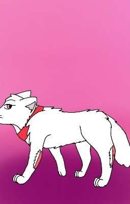 Неожиданный поворот событий 5