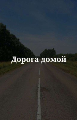 Дорога домой