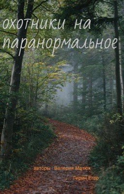 Охотники на паранормальное