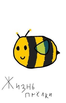Жизнь пчёлки
