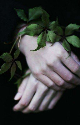 история одного шрама