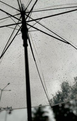 Страницы бесконечной любви