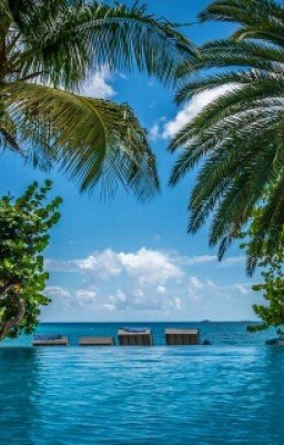 Мы Нашли Свою Любовь...