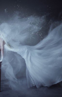 Происшествие на Лихачевском проспекте