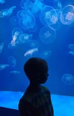 Необычный ребёнок 