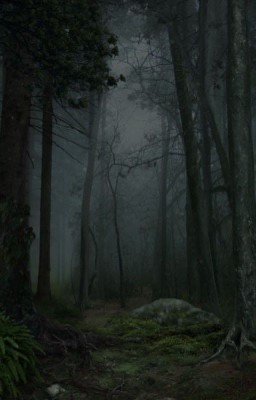 Лесное царство 