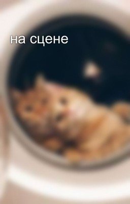 на сцене 