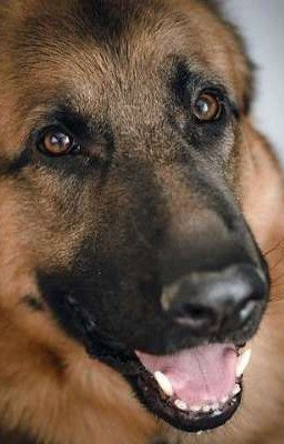 Подруга детства или та что перевернула, мою жизнь💕