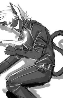 Котик по имени Бран[Войд/Бран]