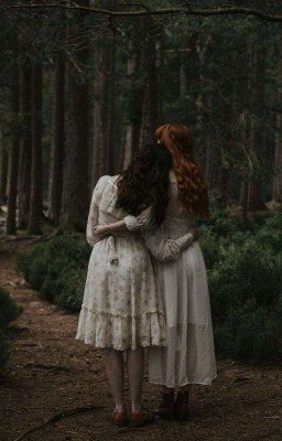 В ЛЕС ЗА ГРИБАМИ