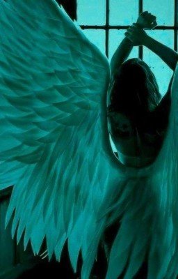 Полуночный проводник