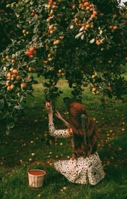 Розовый Жемчуг