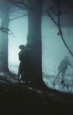 ～「Лес самоубийц」～