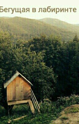 Бегущая в лабиринте.