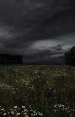 Одна на двоих💞