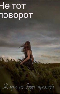 Не тот поворот