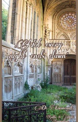 Не каждая ночь заканчивается рассветом.