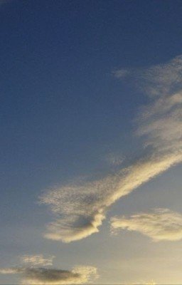 не такие как все