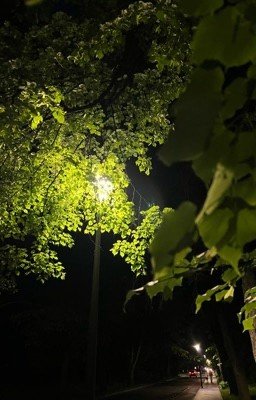 Изумруд. Книга третья