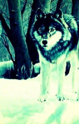 Три влюбленных волка