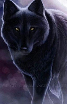 Оборотни, как собаки, любят поиграть.