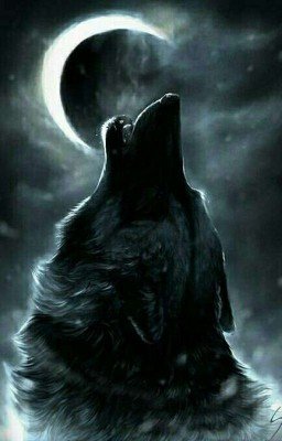 потерянная