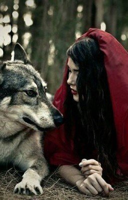 Волк/Судьба