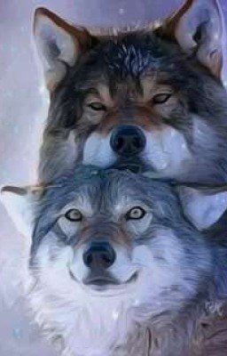 Дневник Оборотня Ника