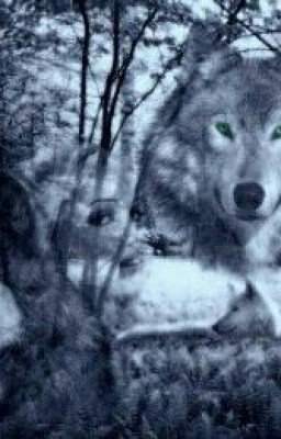 Любовь альфы...