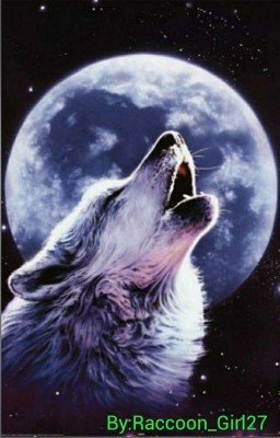 Полнолуние