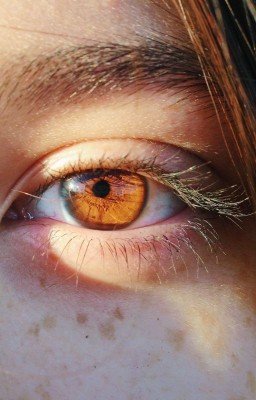 Дети Леса. "Не такая, как все"