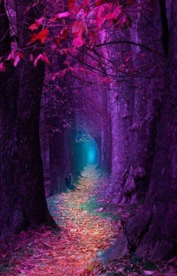 Волчья дочь 