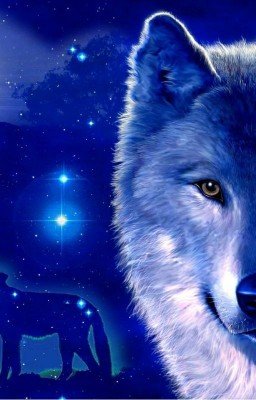 Волчья тайна