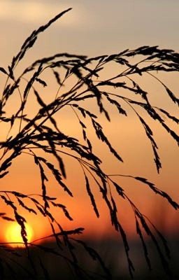 Запах детства