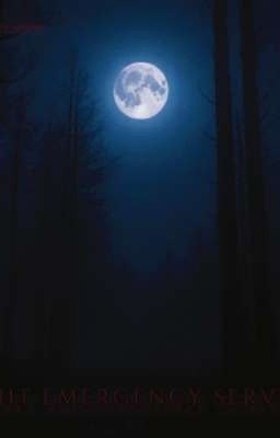 Night Emergency Service (N.E.S) 