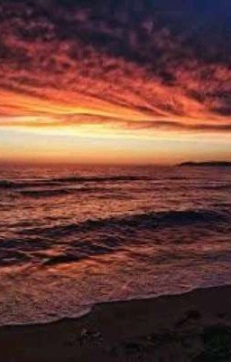 Логово змей. Contra spem spero(лат.)