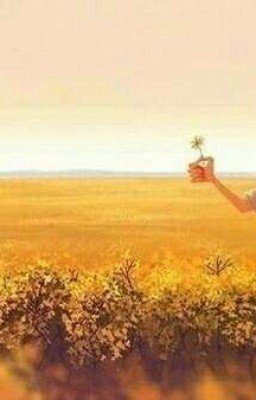 Ворона, Камень И Ветер  Знают Толк В Любви. 