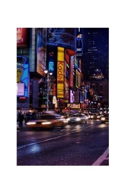 В Мире Животных