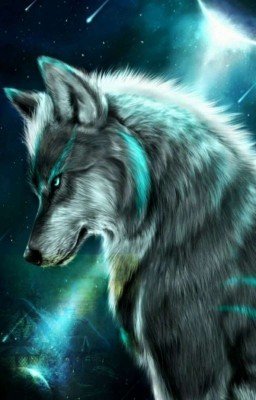 Я боюсь тебя, мой волк