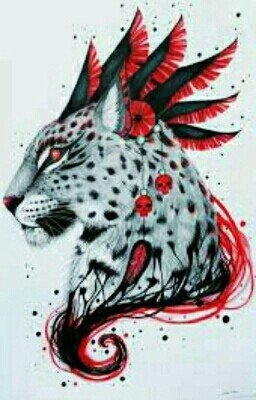 Ночные Созерцатели