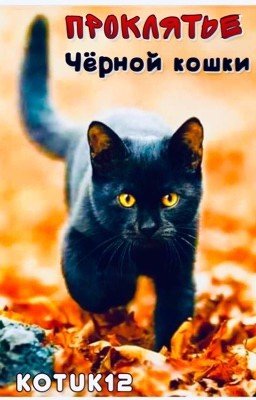 Проклятье чёрной кошки