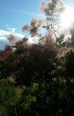 Костер горит ярко