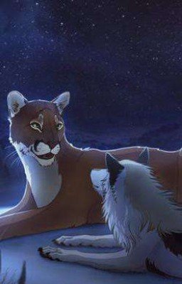 - Знают ли волки о любви?... - А пумы? 