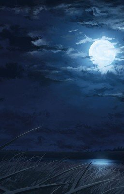 Летние ночи