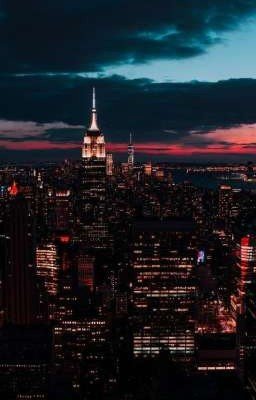  Неизвестный вампир 