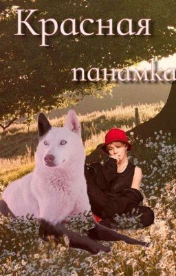 Красная панамка